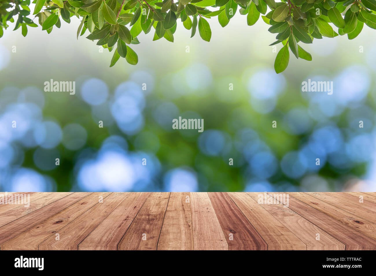 Tablones de madera vieja con abstracto verde natural bokeh de fondo borroso para producto displa Foto de stock