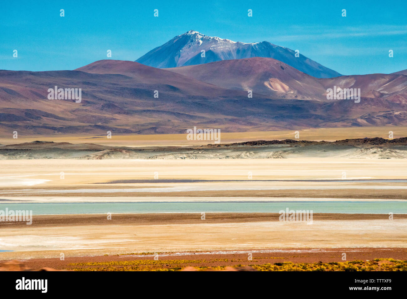 Laguna Salar de talar con la montaña de los Andes, San Pedro de Atacama,  Región de Antofagasta, Chile Fotografía de stock - Alamy