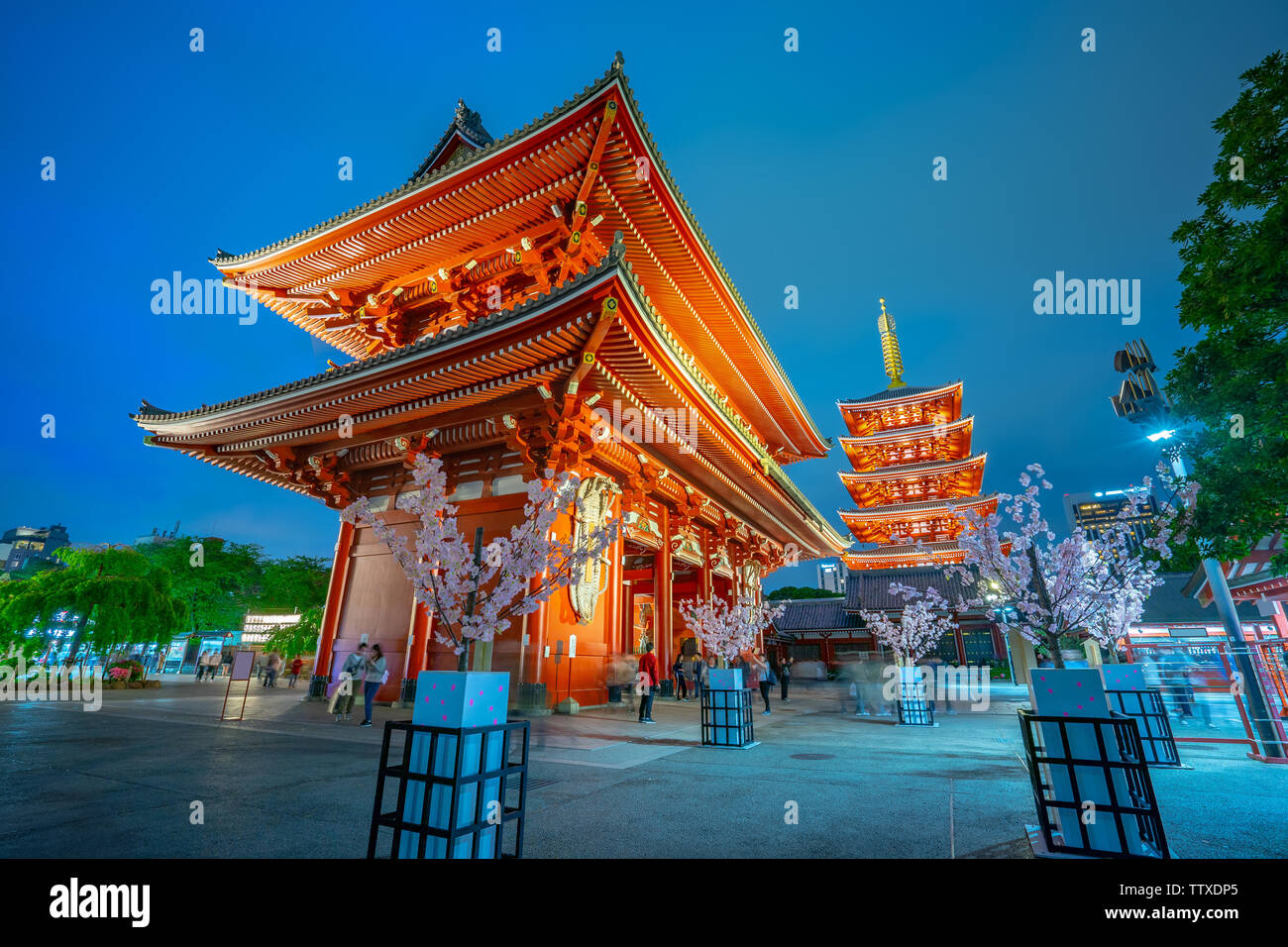 El templo Senso-ji en la noche en la ciudad de Tokio, Japón. Foto de stock