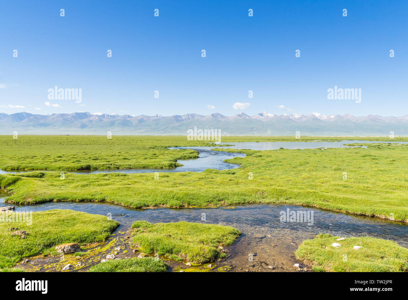 Río alpino pradera totem bajo un cielo azul y las nubes blancas en Xinjiang en verano Foto de stock