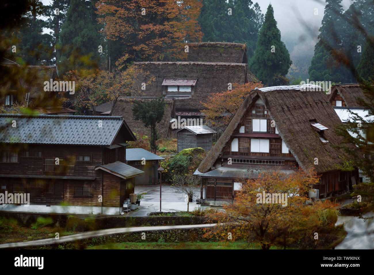 Ainokura Mountain Village paisaje rural de estilo Gassho japonés históricas casas de paja en un misty caer mañana. Ainokura, Prefectura de Toyama, en Japón. Foto de stock