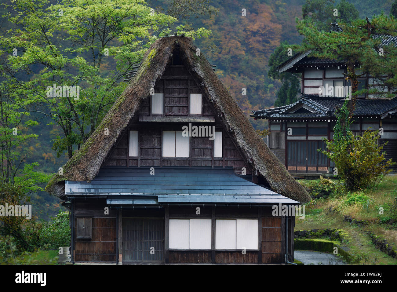 Japonesa tradicional estilo Gassho-casa rural de madera con techo de paja en Ainokura Mountain Village la prefectura de Toyama, Japón 2018. Gasshō-zukuri 合掌造 Foto de stock