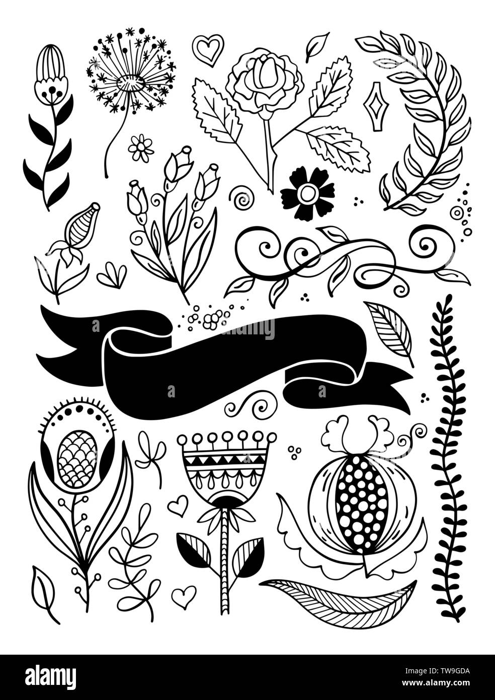Doodle flores, ramas, borde y cinta dibujo set Imagen Vector de stock -  Alamy
