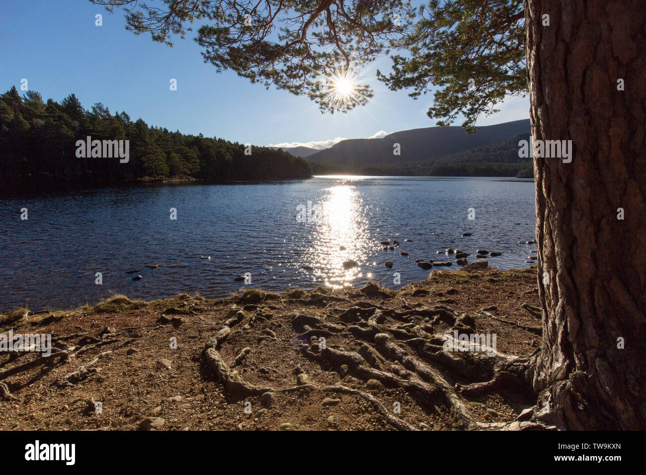 Sun sobre loch Un Eilean. El Parque Nacional de Cairngorms, Escocia, Gran Bretaña Foto de stock