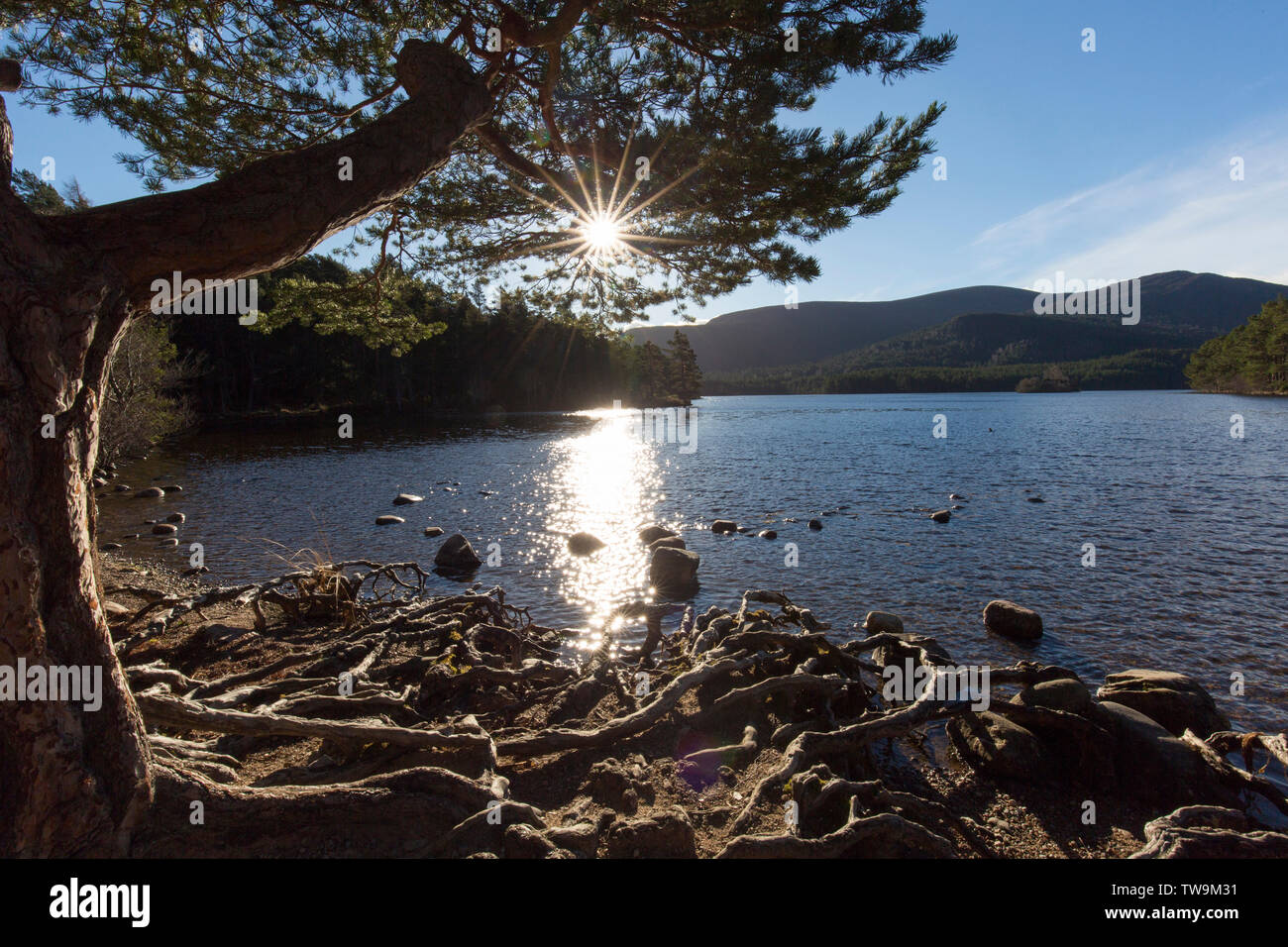 Sun sobre loch Un Eilean. El Parque Nacional de Cairngorms, Escocia, Gran Bretaña Foto de stock