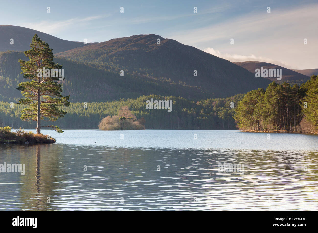 Loch Un Eilean. El Parque Nacional de Cairngorms, Escocia, Gran Bretaña Foto de stock