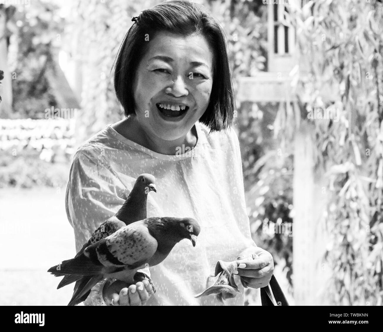 Mujer japonesa con palomas , Kioto Foto de stock