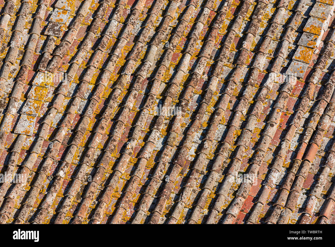 Viejas, deterioradas por la intemperie tejado de una casa en Pisa, Toscana, Italia Foto de stock