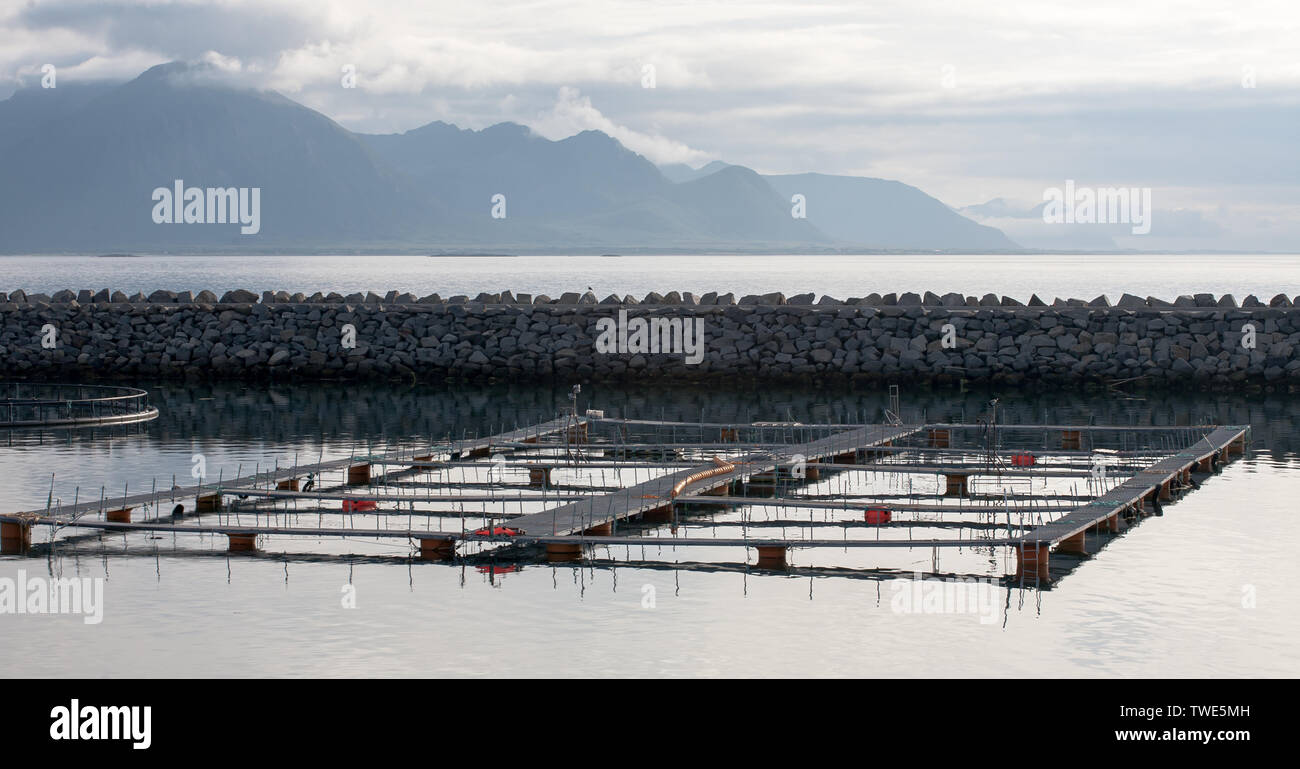 Piscifactoría industrial en mar abierto, Noruega Foto de stock