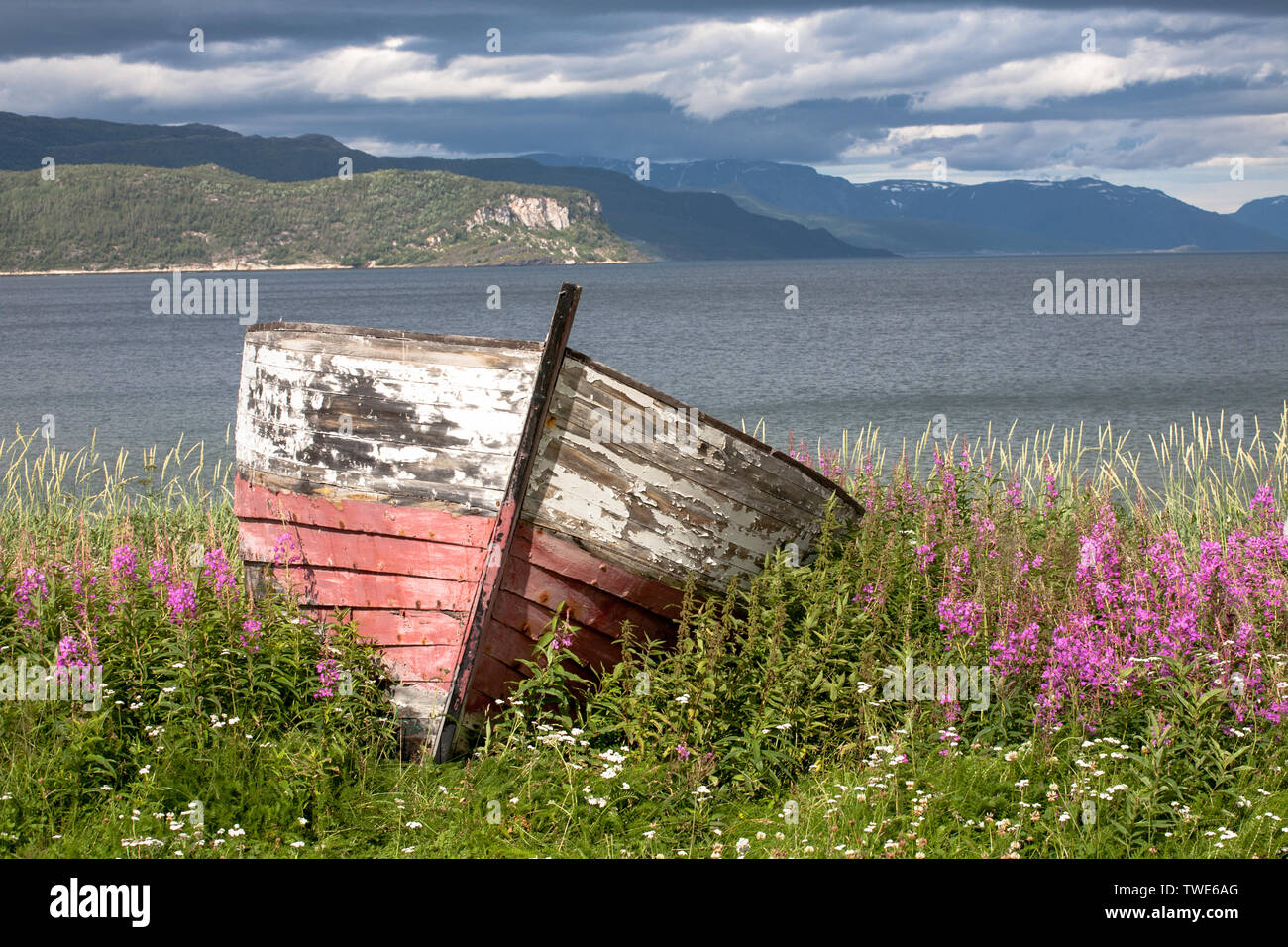 Viejo barco en la costa de mar con flores y montañas antecedentes Foto de stock