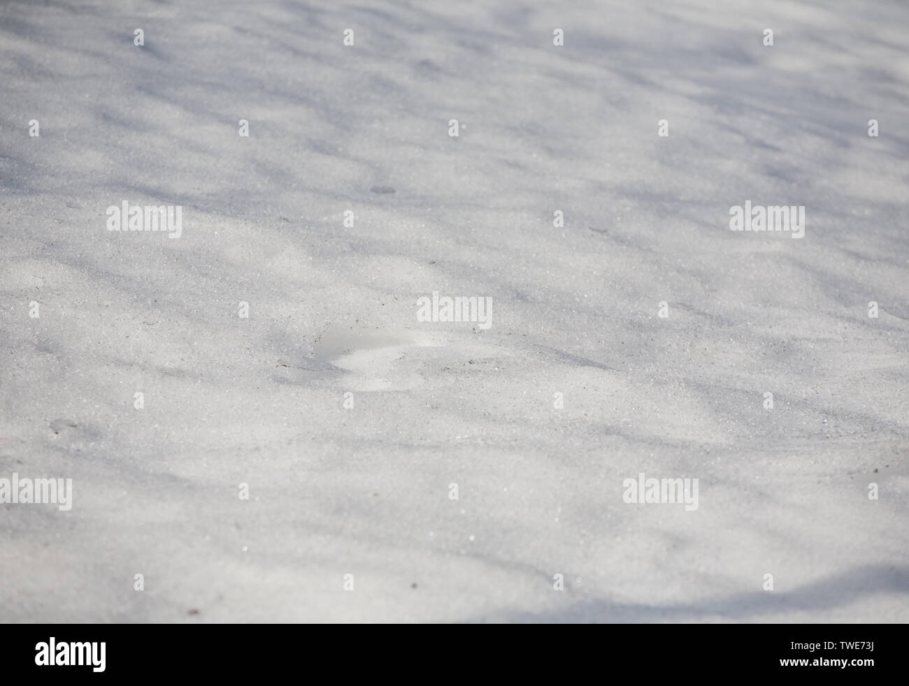 La textura de la superficie de la nieve blanca macro closeup Foto de stock