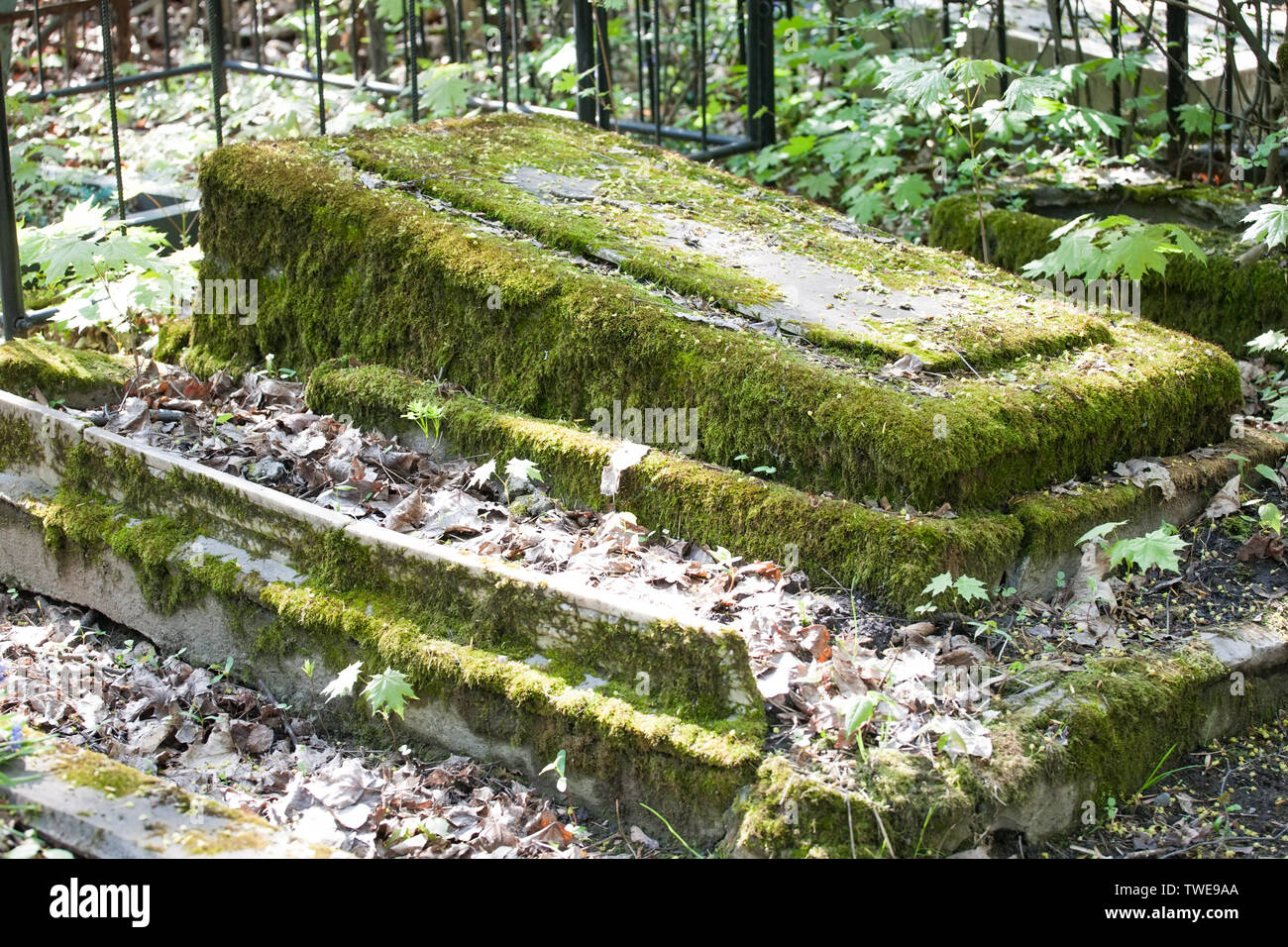 Cementerio tumba monumento de piedra cubiertas de musgo closeup vista sobre fondo exterior Foto de stock
