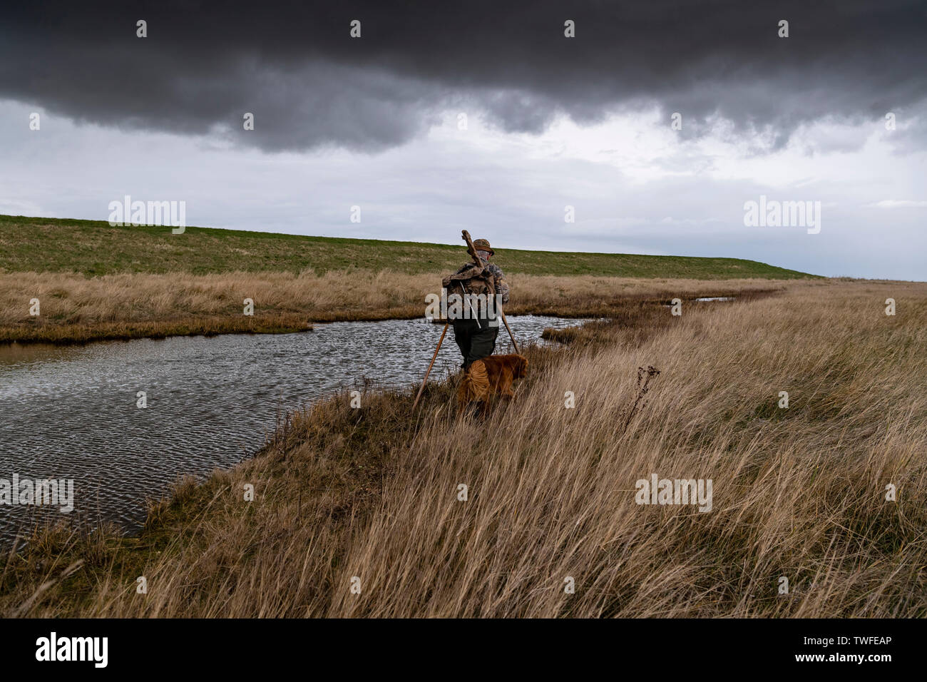 En el Lincolnshire Wildfowling lavar con tirador y gundog caminar a través de las marismas con nubes de tormenta y la lluvia. Foto de stock