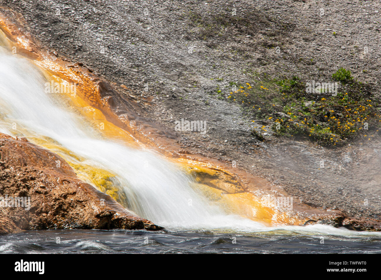El agua sale de Excelsior geyser cráter en el río Firehole Foto de stock