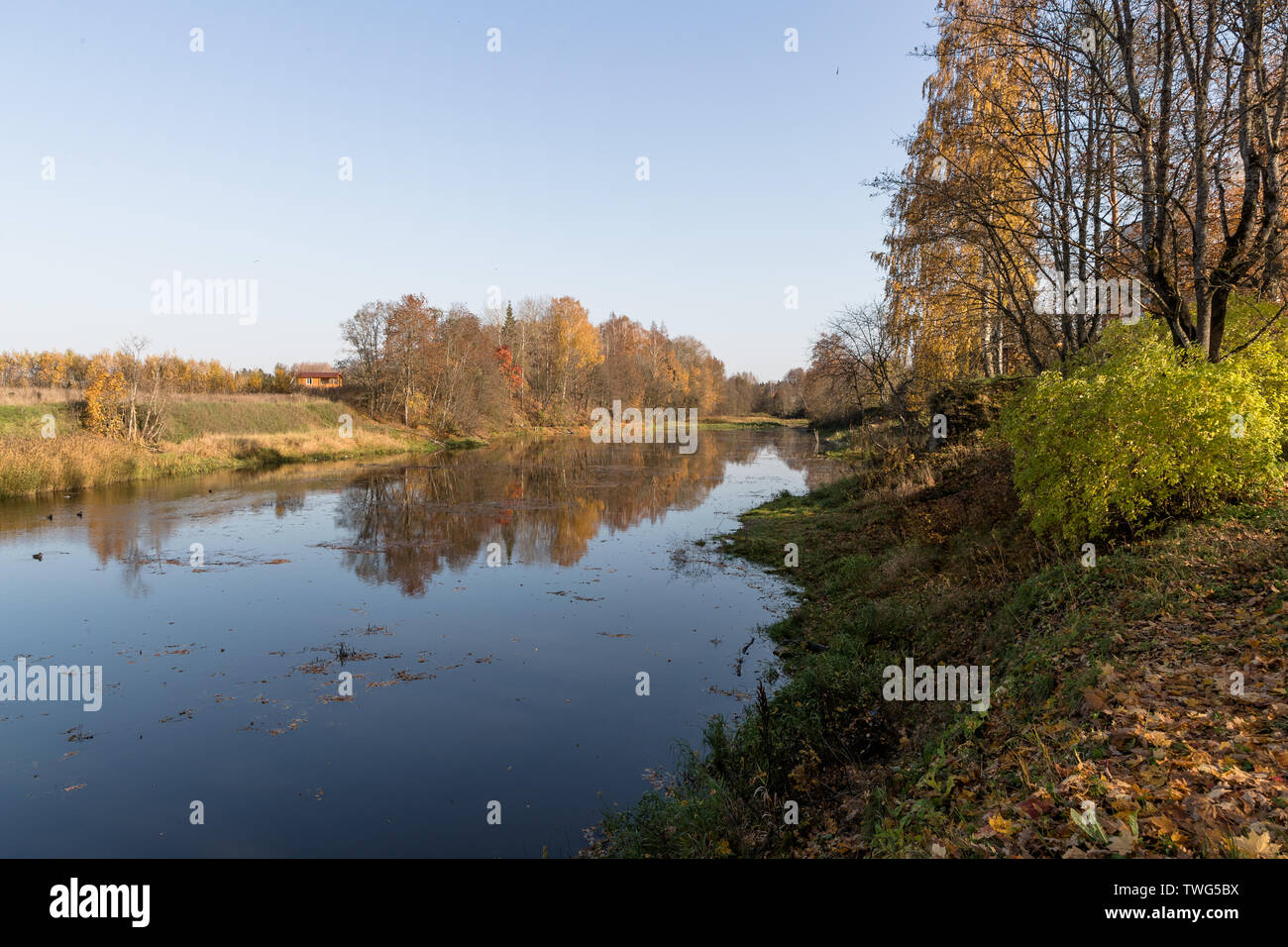 River en el otoño con el color de los árboles y las hojas Foto de stock