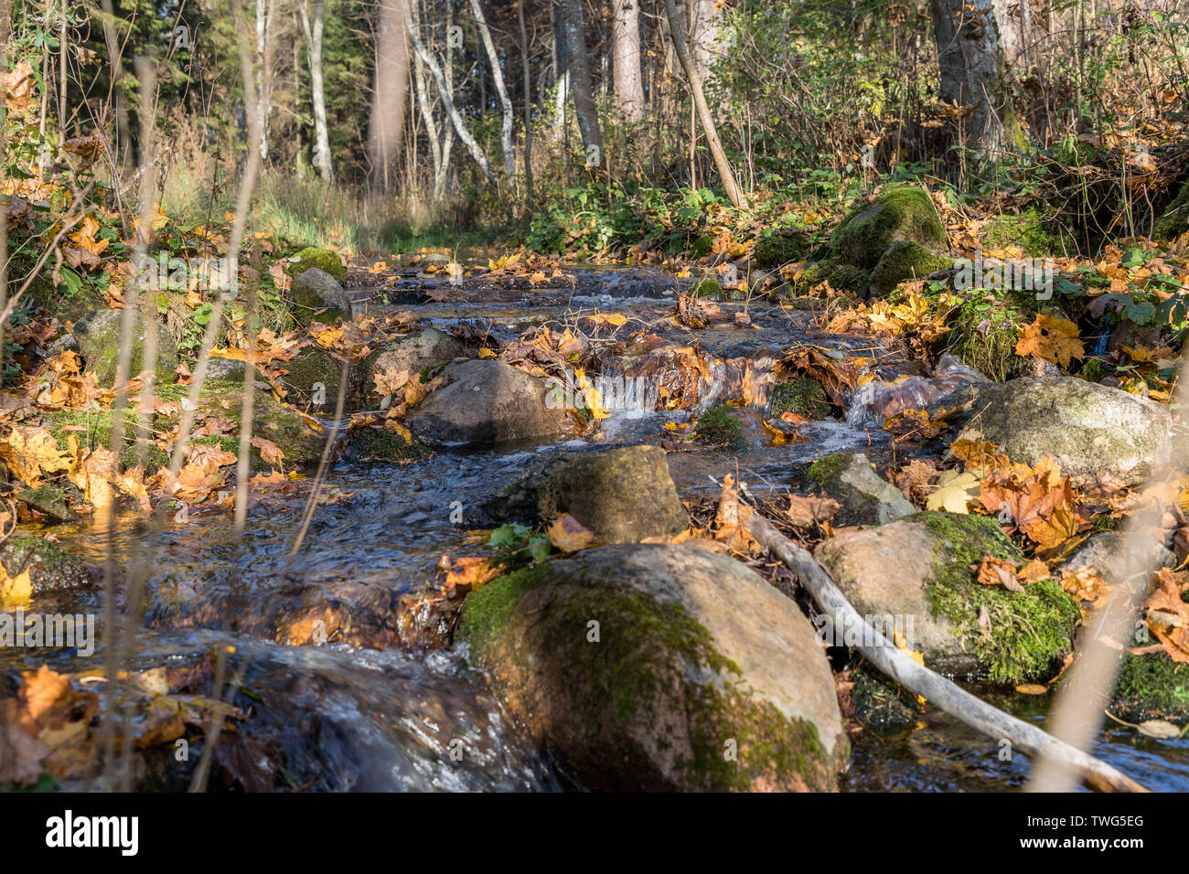 River en el otoño con el color de las hojas Foto de stock