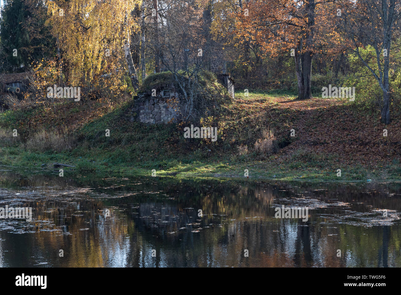 River en el otoño con el color de los árboles y las hojas Foto de stock