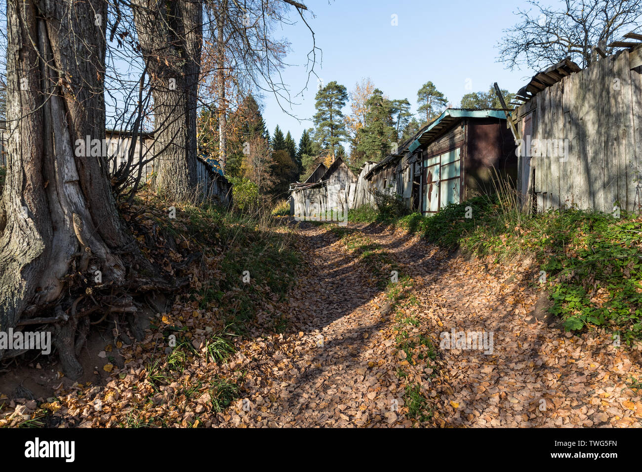 Garajes y viejos árboles en otoño en el día Foto de stock