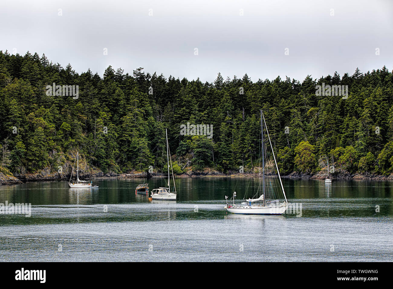 Algunos veleros están amarrados en el Puerto Friday, en la Isla San Juan en Washington. Foto de stock