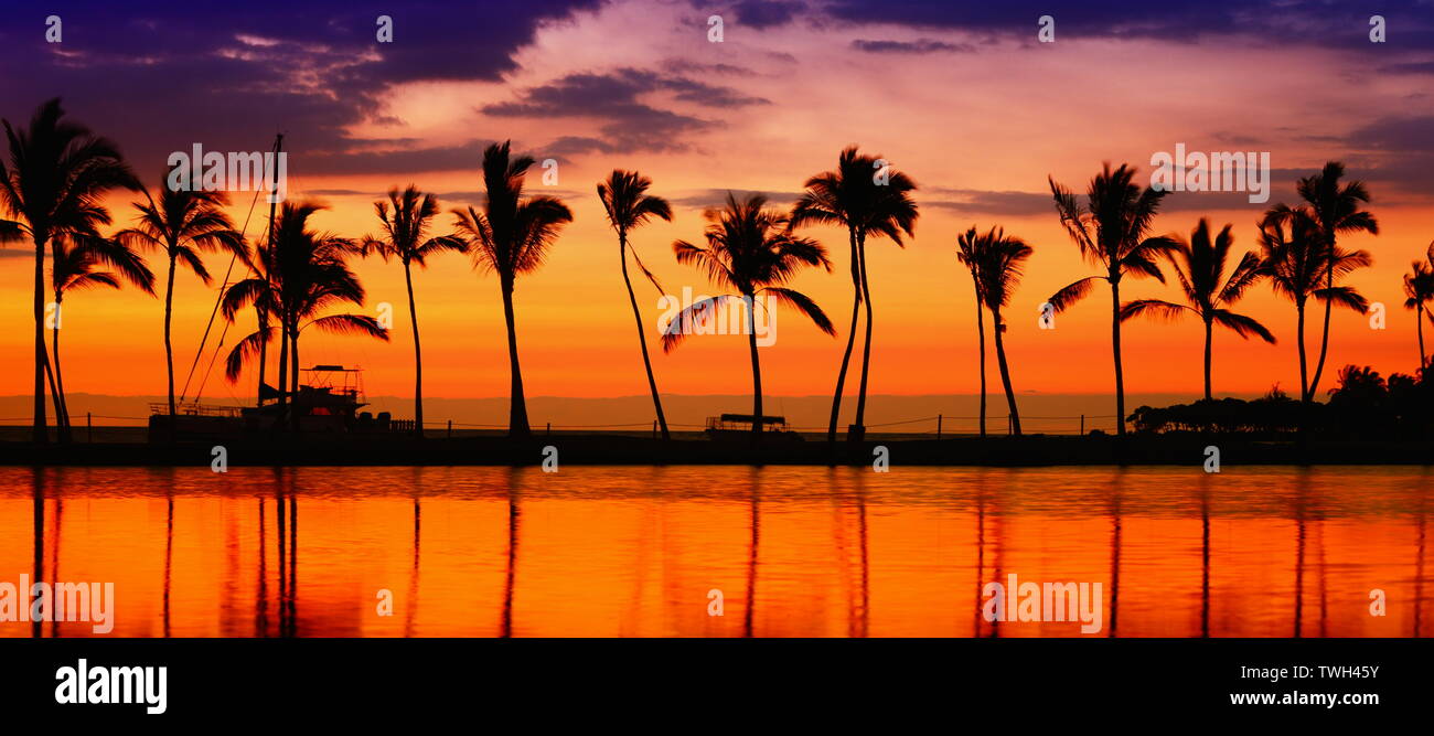 Título de viaje. Beach Paradise atardecer con palmeras tropicales. Escapada de vacaciones vacaciones viajes de verano colorido concepto foto de mar océano agua en Big Island, Hawaii, USA. Foto de stock