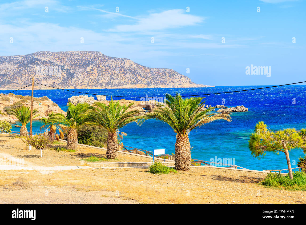 Palmeras en el paseo marítimo junto a la hermosa costa del mar cerca de la isla de Karpathos Ammopi village, Grecia Foto de stock