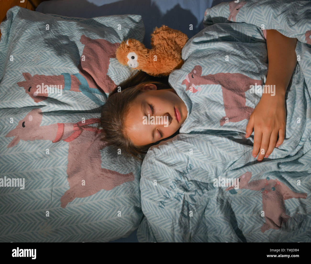 Sieversdorf, Alemania. 20 de junio de 2019. Ilustración - Una niña duerme  en la cama con sábanas de llama (escenificada escena). Verano 2019 promete  ser animal, colorido, afrutado, caliente y respetuoso con