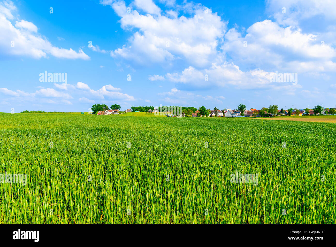 Campos verdes en primavera paisaje de Burgerland cerca Strem village, Austria Foto de stock