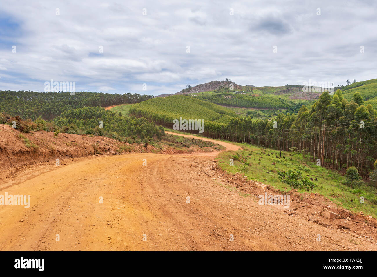 Carretera en Swazilandia Foto de stock