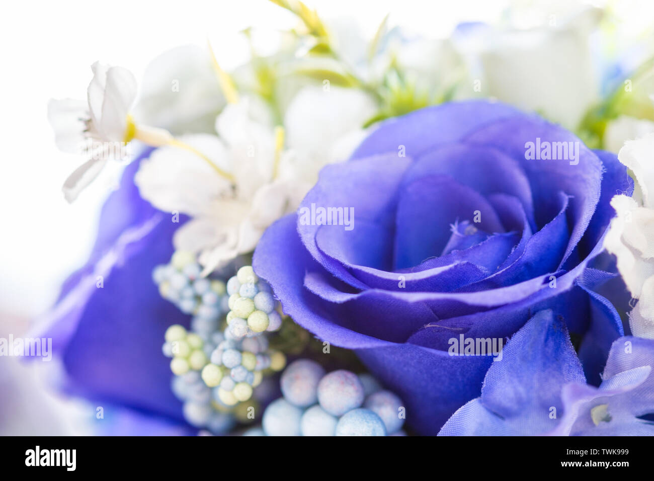 Rosas azules en el ramo de flores blancas de fondo de San Valentín  Fotografía de stock - Alamy