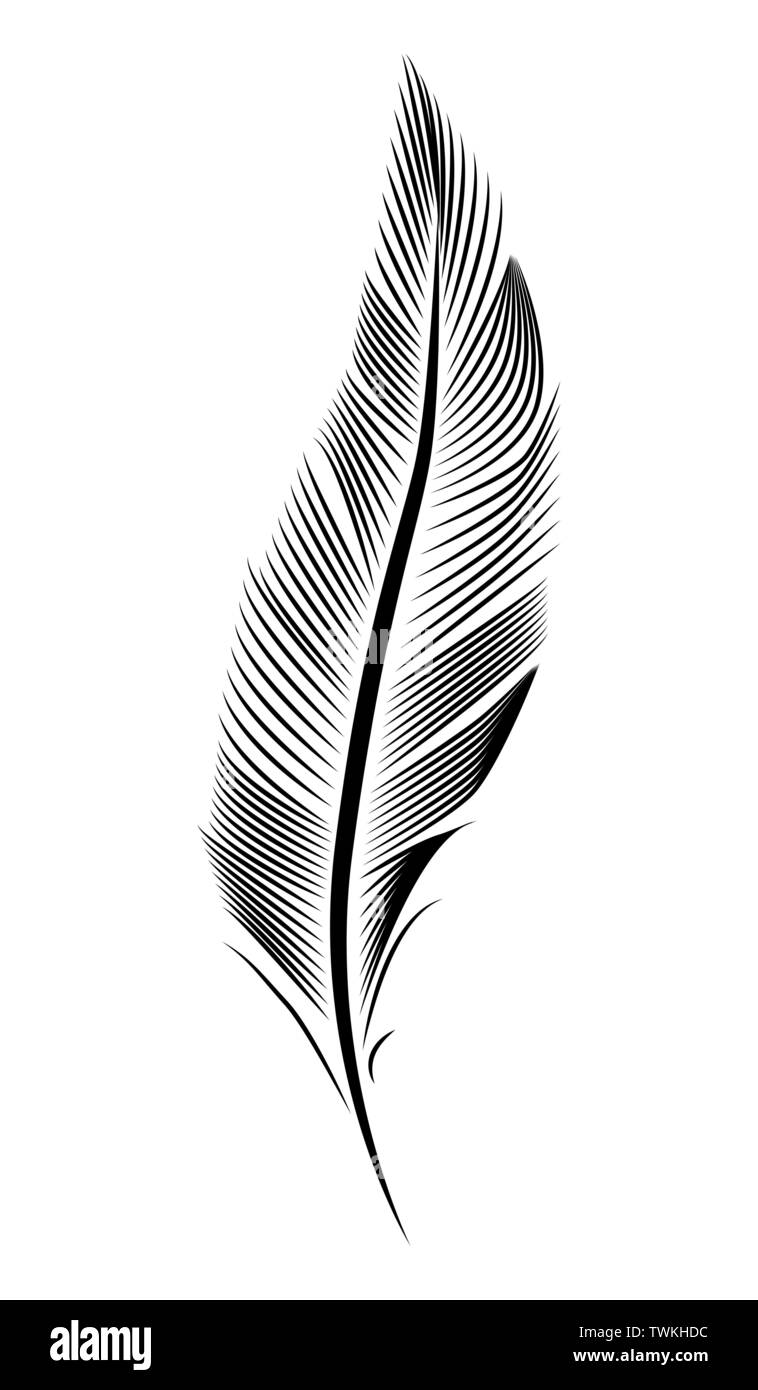 Ilustración de plumas, dibujo, grabado, arte de línea de tinta Imagen  Vector de stock - Alamy