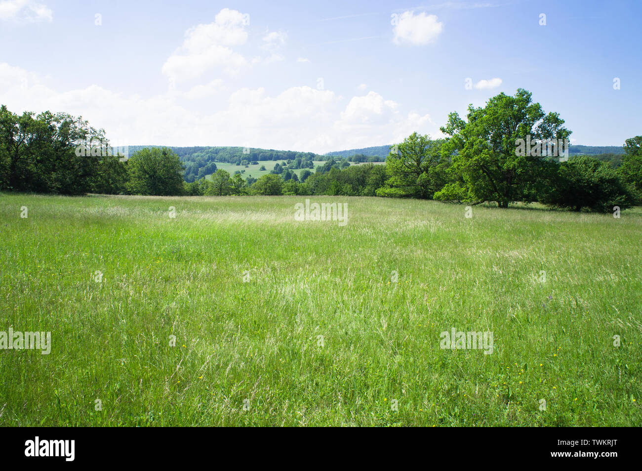 La Reserva Natural Nacional Certoryje en los Cárpatos Blancos, Región de Zlin, República Checa, 2 de junio de 2019. (Foto CTK/Libor Sojka) Foto de stock