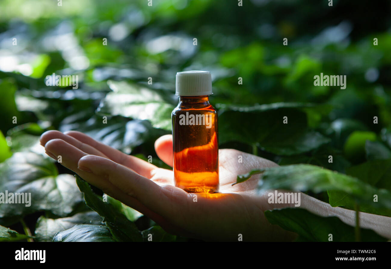Botellas con aroma de aceites esenciales orgánicos. Medicina Alternativa -  florales naturales extractos y aceites Fotografía de stock - Alamy