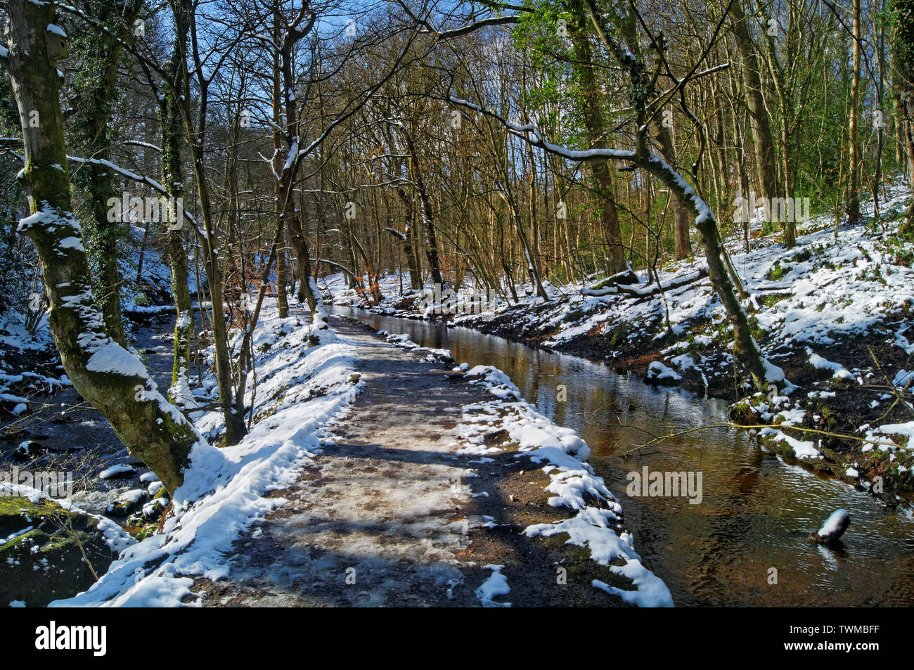 Reino Unido,South Yorkshire,Sheffield,Rivelin afluente cerca de la rueda de corte superior Foto de stock