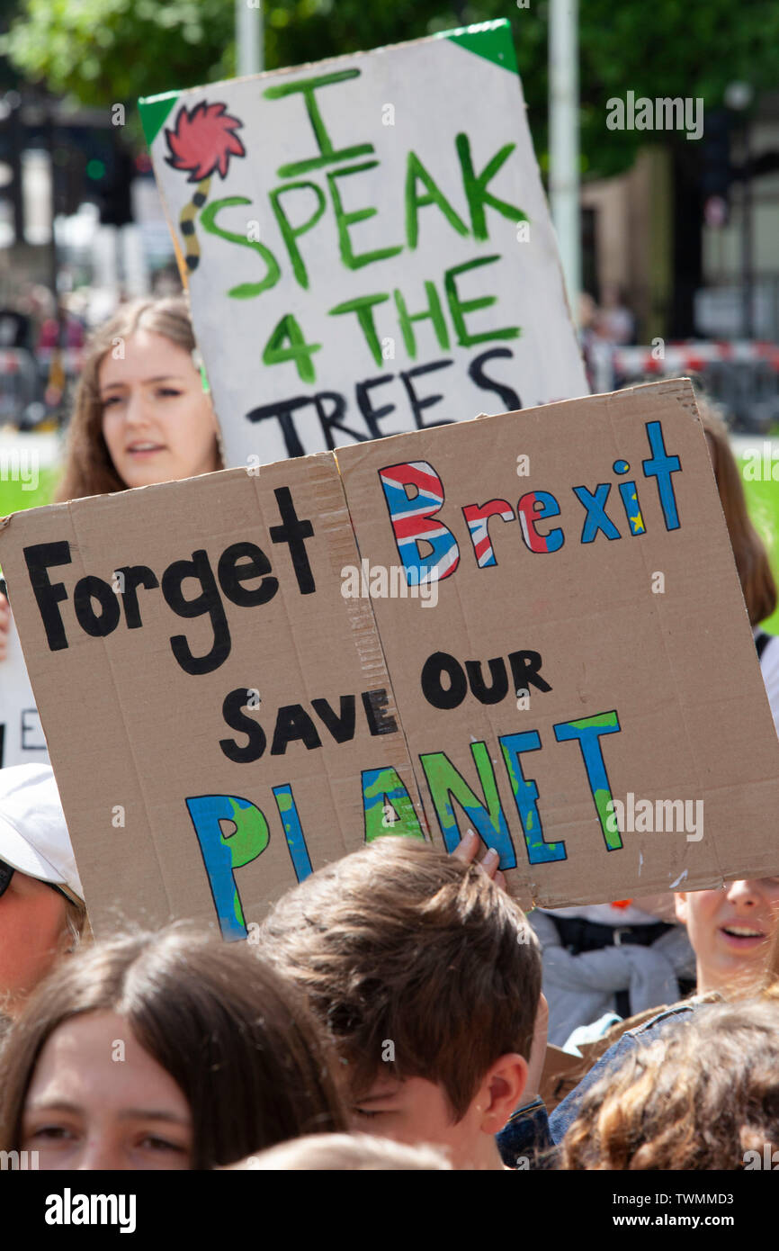 La protesta de Londres en apoyo de la Escuela de Greta Thunberg huelga por el clima. Los niños y adolescentes se unieron en la Plaza del Parlamento y marcharon hasta Whitehall hasta Trafalgar Square, muchos de ellos llevando pancartas caseras. Foto de stock