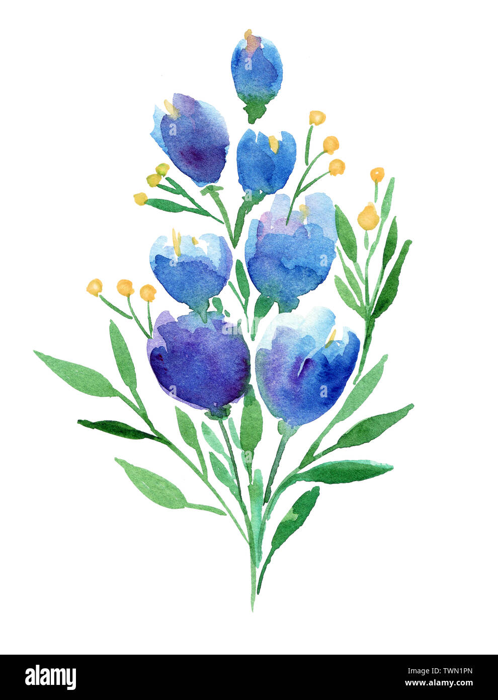 Dibujo a mano alzada acuarela boho ilustración floral con flores azules,  ramas, hojas Fotografía de stock - Alamy