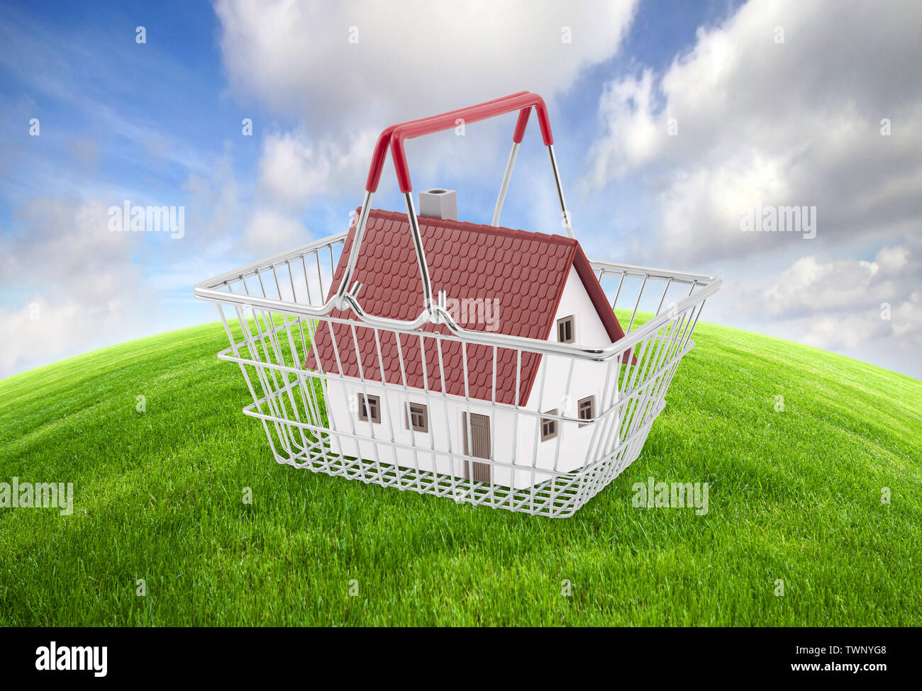 Cesta de la compra con casa en miniatura con campo de césped verde brillante cielo azul Foto de stock