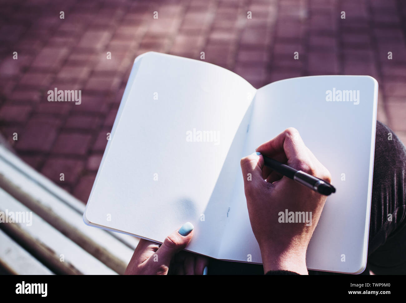 Close-up de las páginas en blanco de un ordenador portátil y una chica de la mano empezando a escribir sus pensamientos e ideas. Concepto de trabajar en una tarea, essa Foto de stock