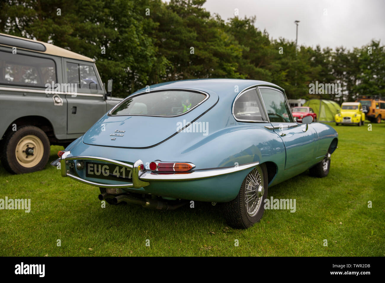 Jaguar 4.2 Antiguo E-Type Serie 1 y 2 Parte Inferior Junta Conjunto De hasta 1968