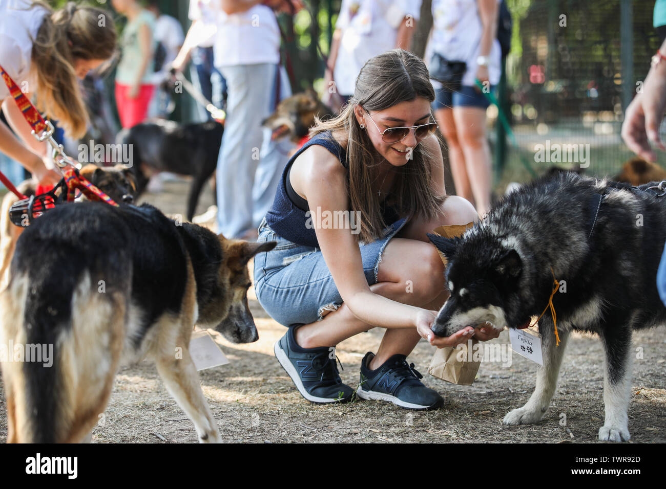 Moscú, Rusia. 22 de junio de 2019. Una mujer alimenta a un perro durante el  'Día de amigos' festival benéfico en un parque a las afueras de Moscú,  Rusia, el 22 de