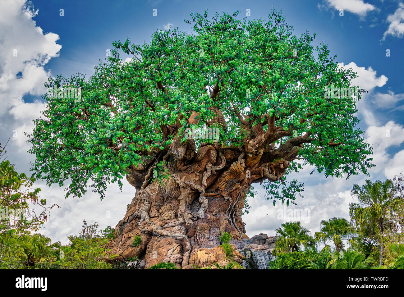 ORLANDO, Florida, EE.UU.. Mayo 03, 2019: El árbol de la vida en el Reino Animal de Disney Foto de stock