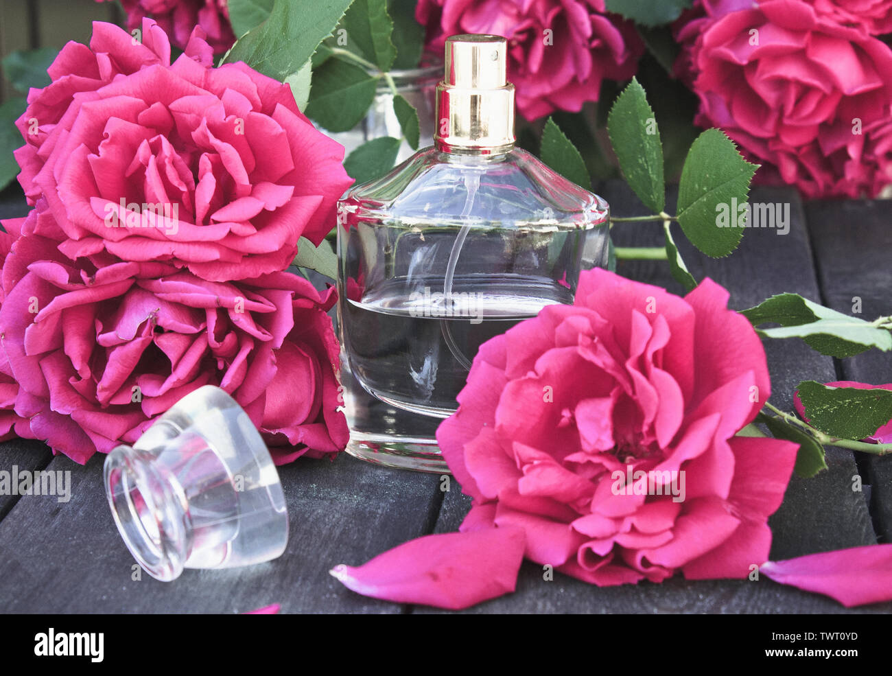 Botella de Perfume de mujer con rosas rojas en el fondo de Botella de Perfume de mujer con rosas rojas en el fondo de