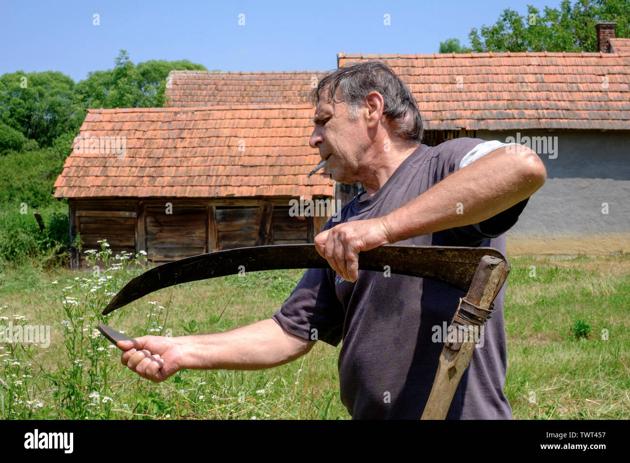 El hombre afila la cuchilla en un tradicional madera manejados manualmente la guadaña para cortar el césped largo hacia abajo y la maleza en un jardín rural el condado de Zala hungría Foto de stock