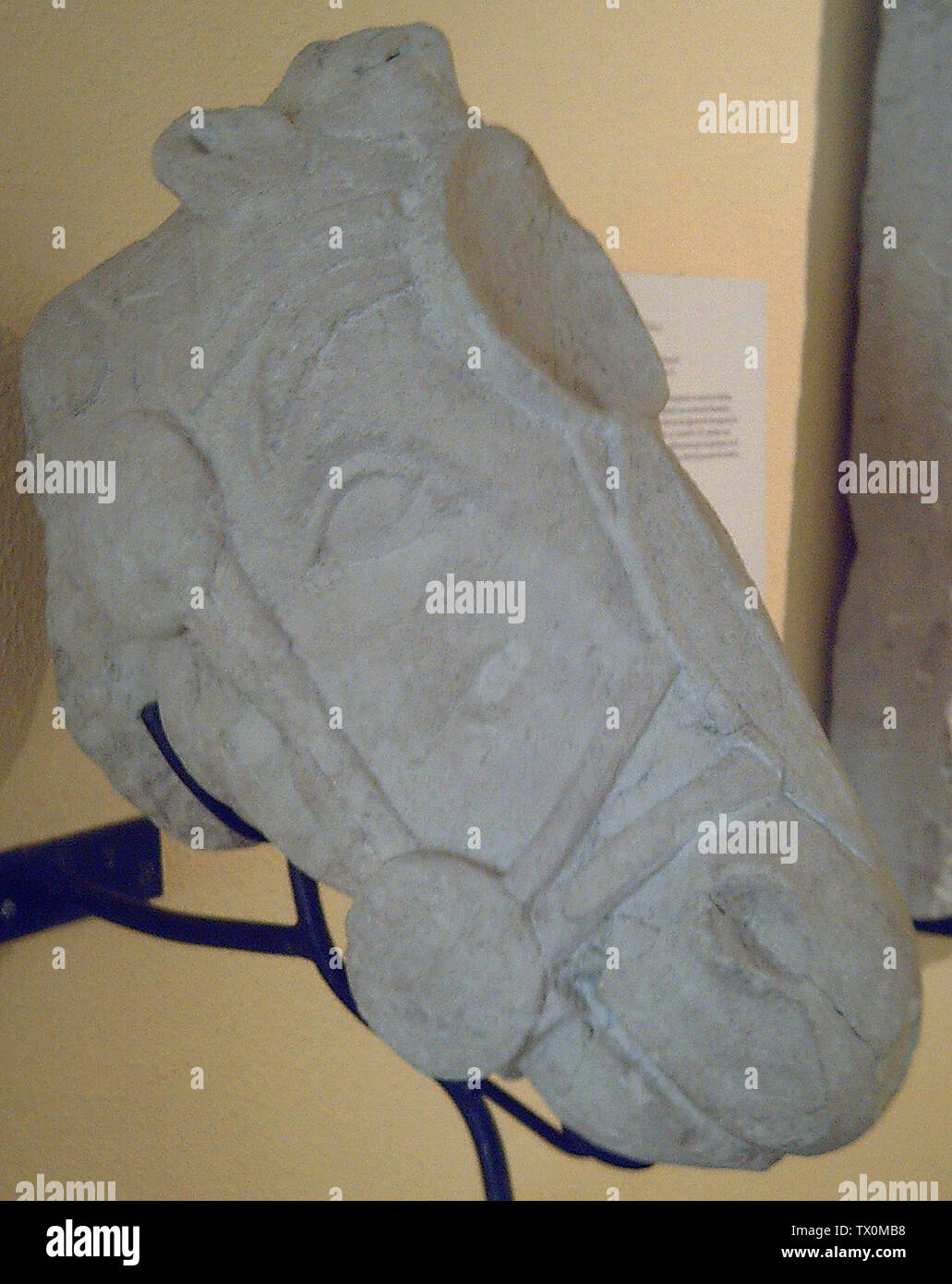 Cabeza de caballo ibérico. ESPAÃ±ol: Una cabeza de caballo Ã­bera.; siglo IV AC fecha QS:P571,-350-00-00T00:00:00Z/7; Foto de stock