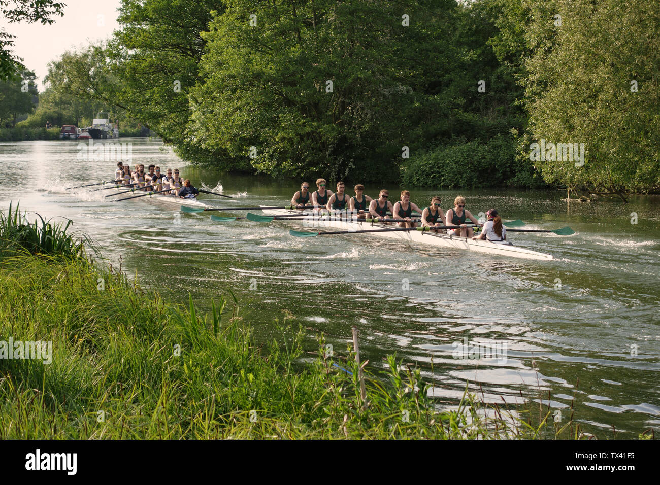 Oxford, Reino Unido. Durante ochos semana de mayo, el colegio equipos de remo se retan mutuamente en el ISIS, como este tramo del río Támesis conocido Foto de stock