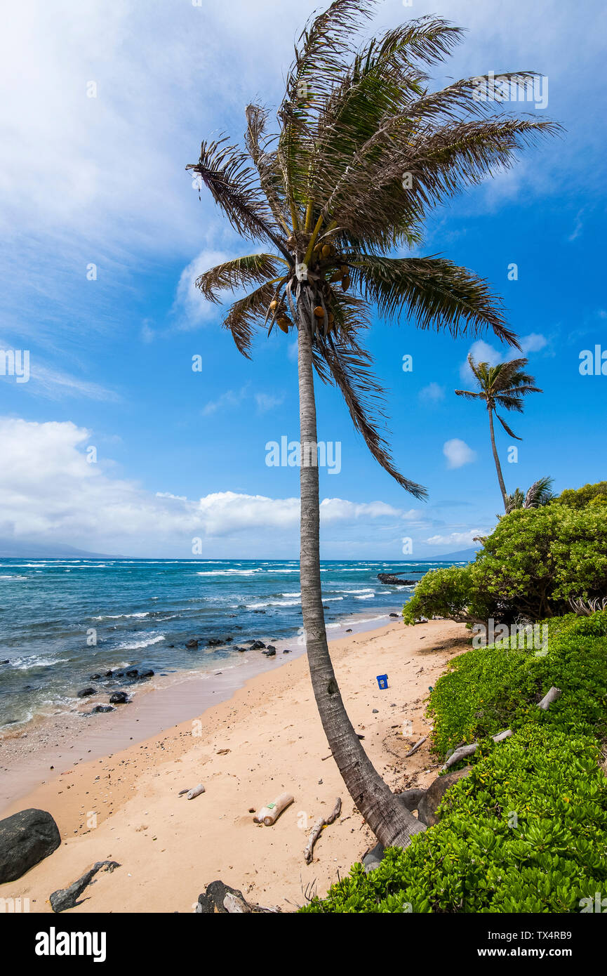 Hawai, la isla de Molokai, veinte millas de la playa Foto de stock