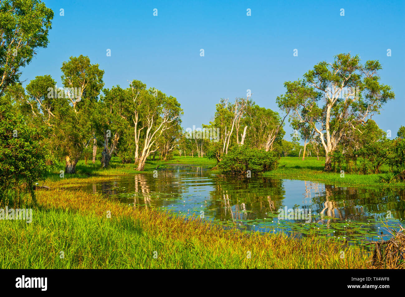 Río en el Parque Nacional Kakadu, el Territorio del Norte, Australia Foto de stock