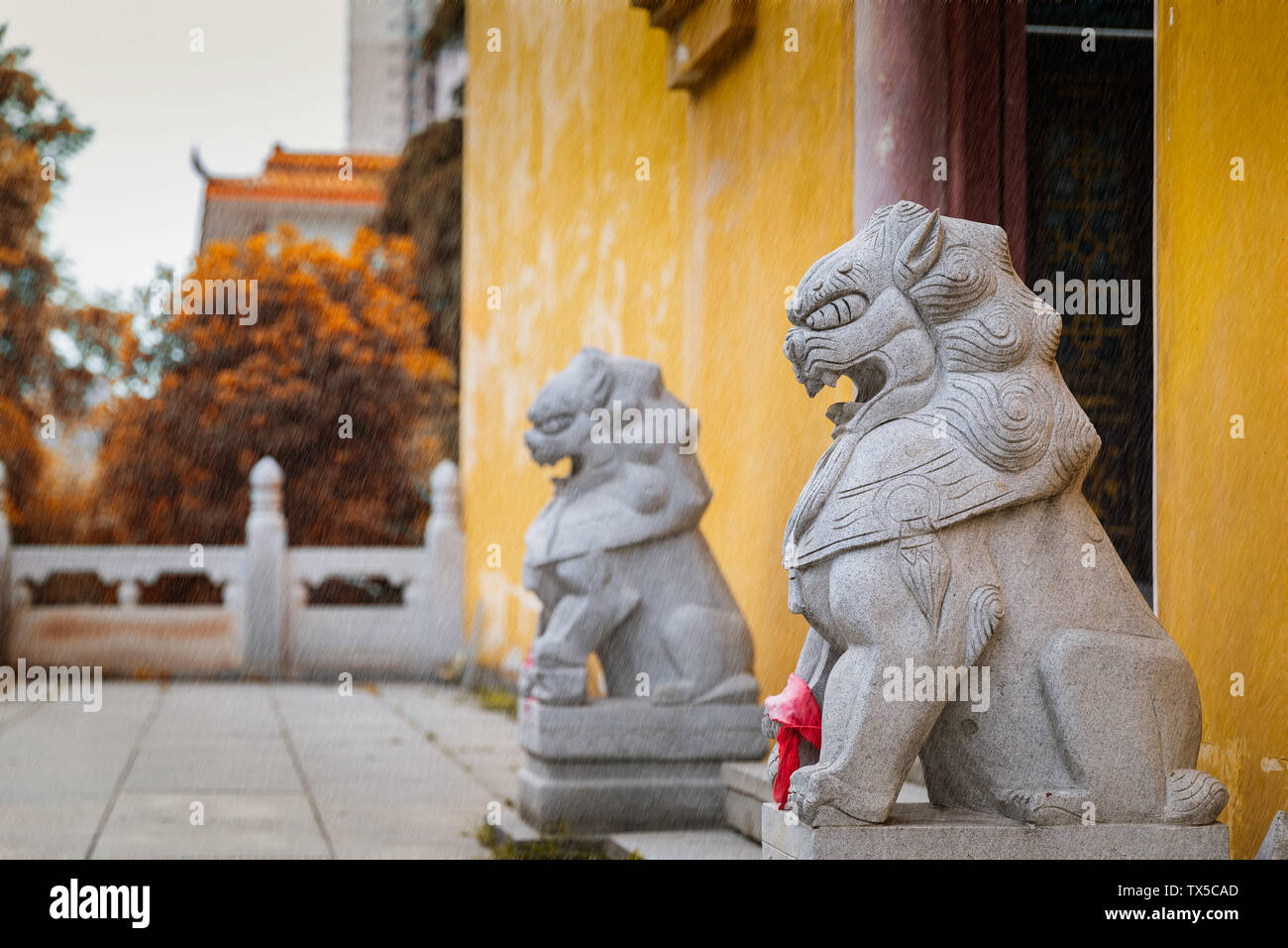 Baotong templo Zen, distrito de Hongshan, Wuhan, Jiangcheng Foto de stock