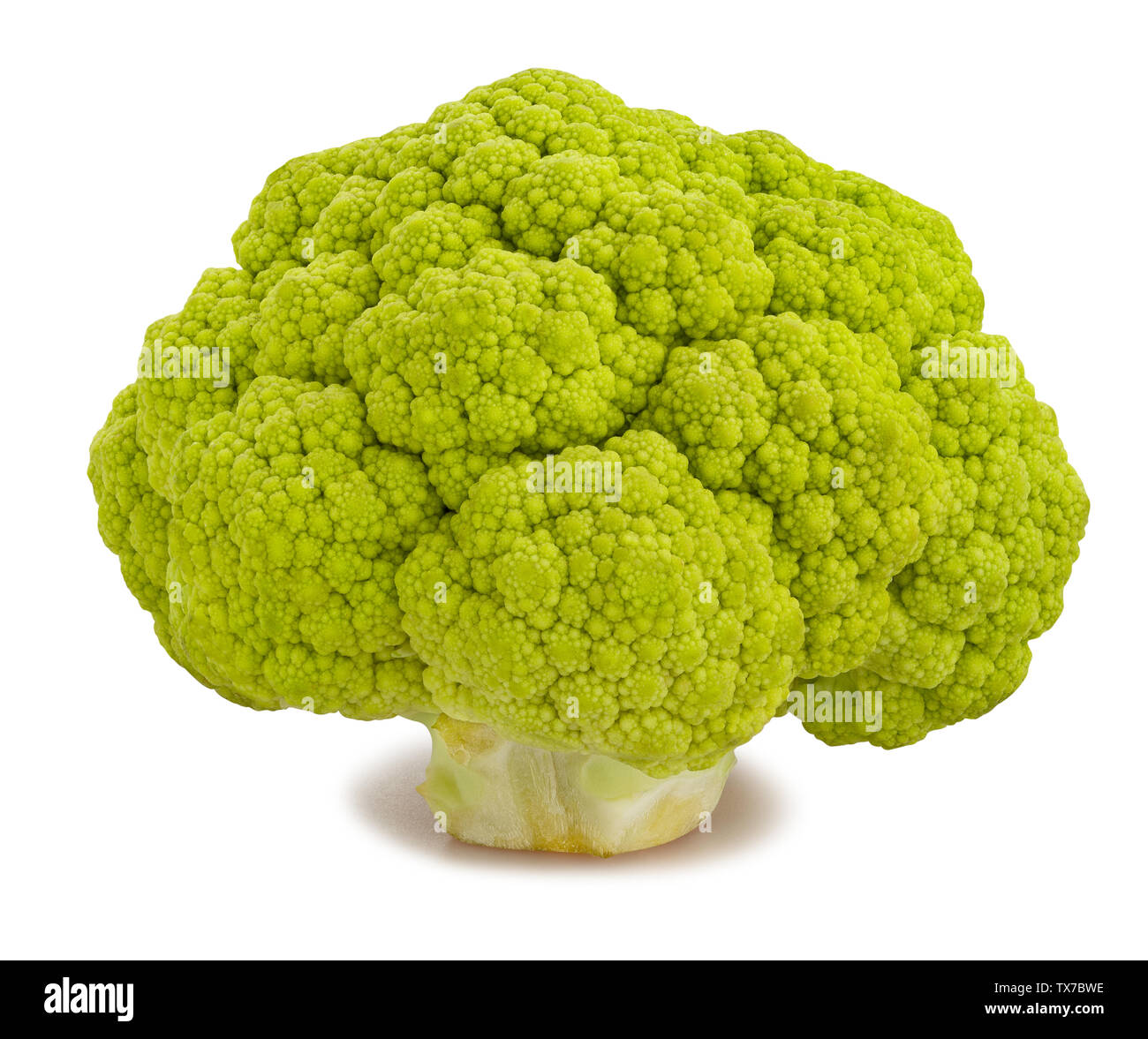 Ruta coliflor color aislado en blanco Foto de stock