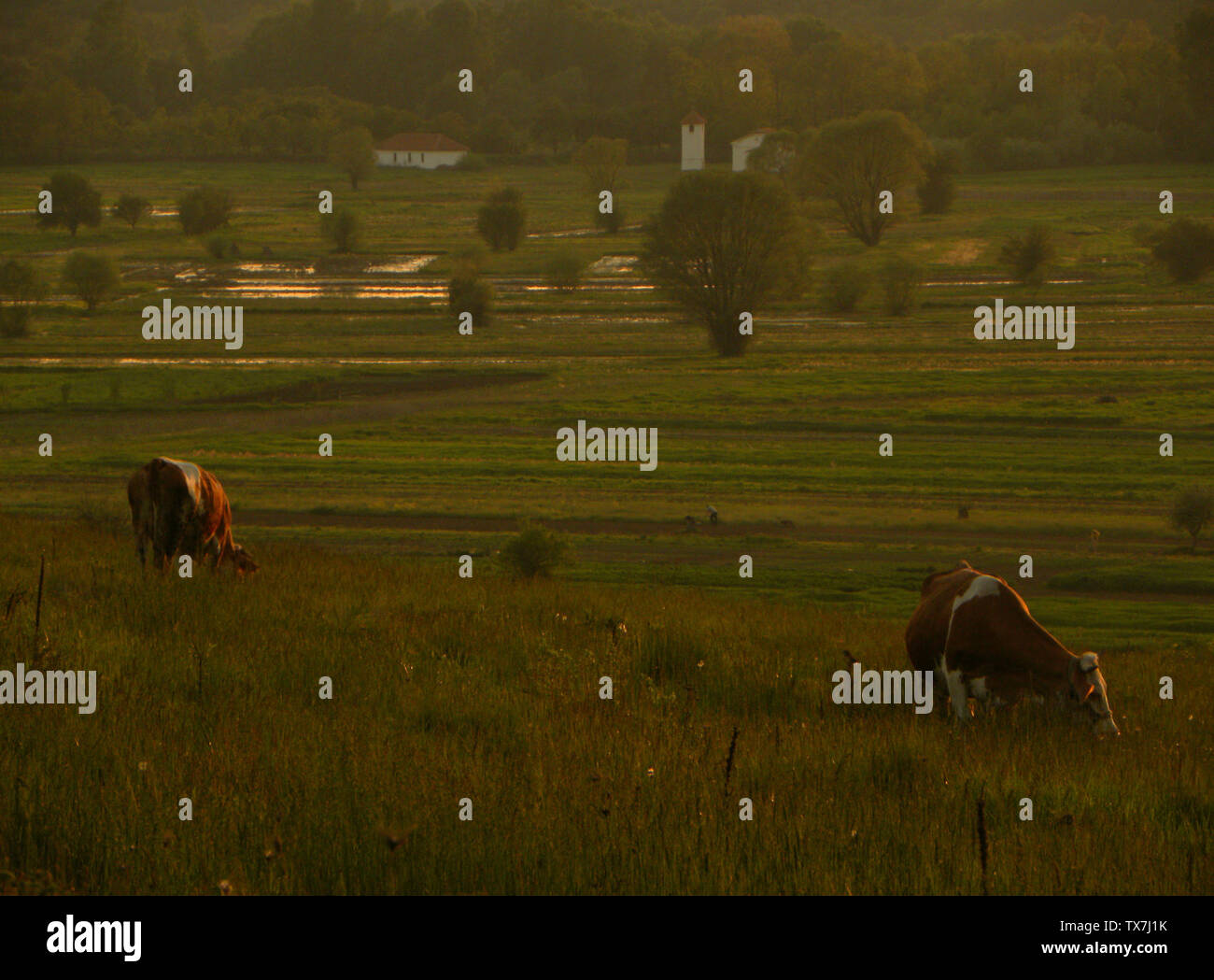 Brdu Fotos E Imagenes De Stock Alamy
