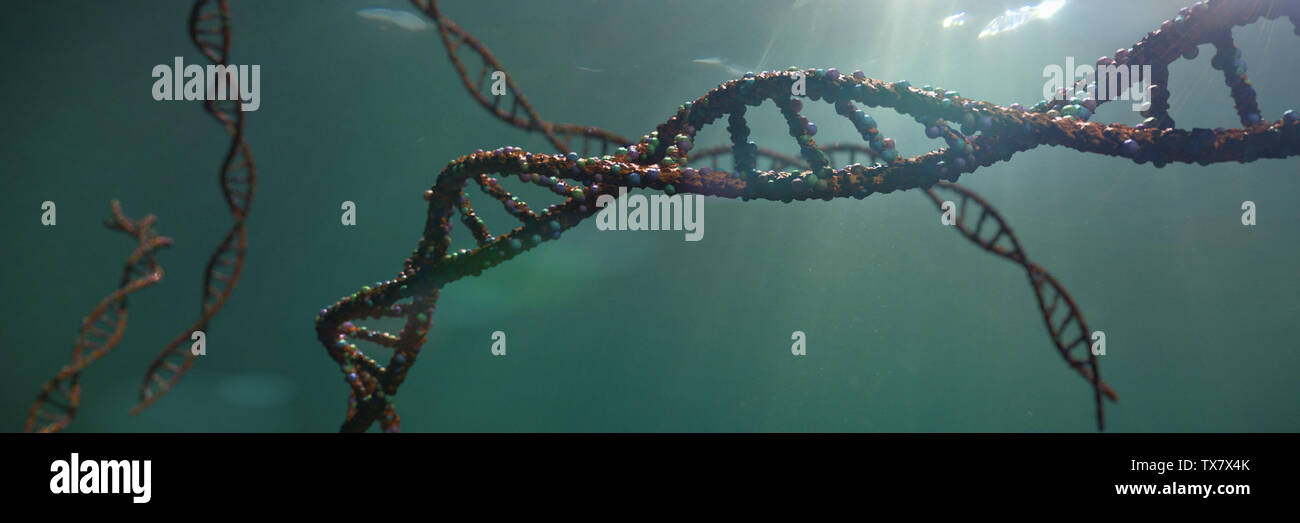 Molécula de ADN, la doble hélice llevando instrucciones genéticas (ciencia 3D rendering banner) Foto de stock